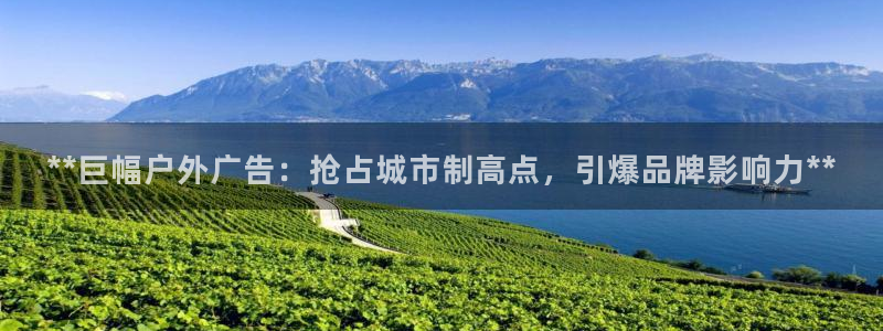 杏宇官方平台官网