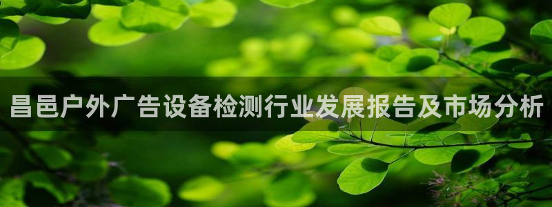 杏宇平台客服：昌邑户外广告设备检测行业发展报告及市场分析