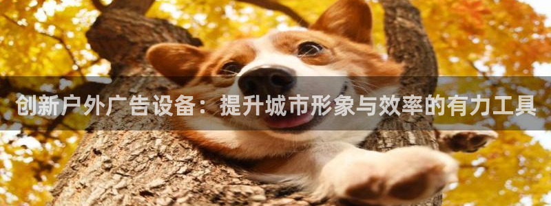 杏宇平台招商电话号码：创新户外广告设备：提升城市形象与效率的有力工具