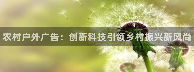 杏宇平台怎么样知乎：农村户外广告：创新科技引领乡村振兴新风尚
