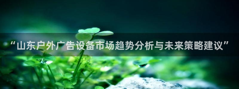 杏宇平台总代理是谁：“山东户外广告设备市场趋势分析与未来策略建议”