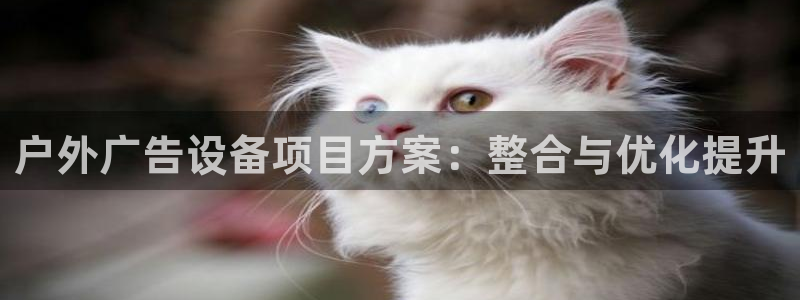 杏宇平台总代理是谁：户外广告设备项目方案：整合与优化提升