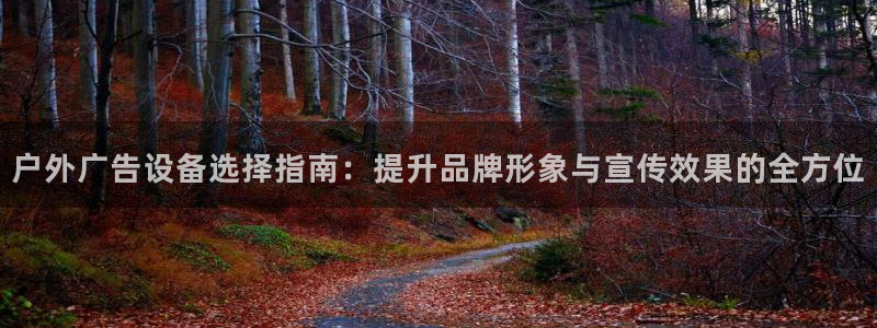 杏宇平台是什么：户外广告设备选择指南：提升品牌形象与宣传效果的全方位