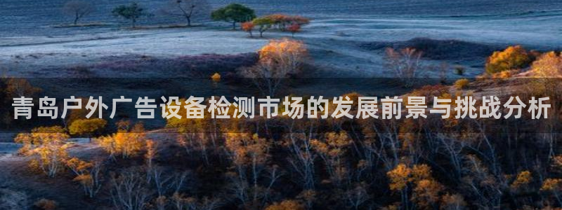 杏宇平台招商：青岛户外广告设备检测市场的发展前景与挑战分析