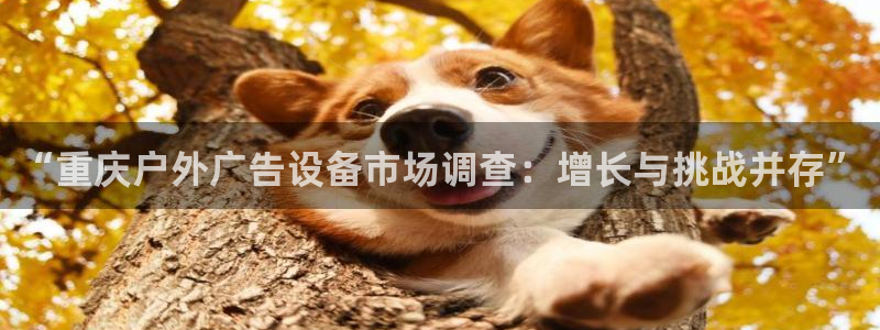 杏宇平台主管：“重庆户外广告设备市场调查：增长与挑战并存”