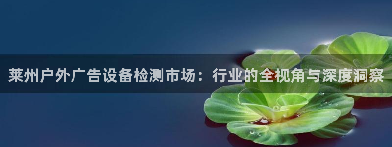 杏宇官方平台官网：莱州户外广告设备检测市场：行业的全视角与深度洞察