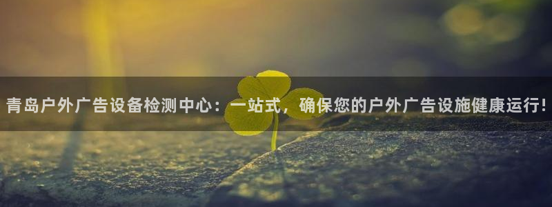 杏宇平台是什么