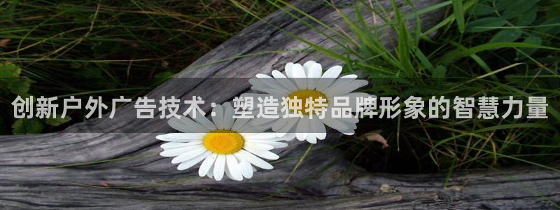 杏宇平台客服：创新户外广告技术：塑造独特品牌形象的智慧力量