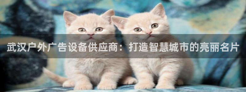 杏宇平台怎么样：武汉户外广告设备供应商：