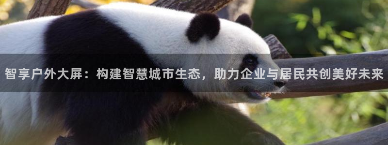 杏宇平台招商：智享户外大屏：构建智慧城市