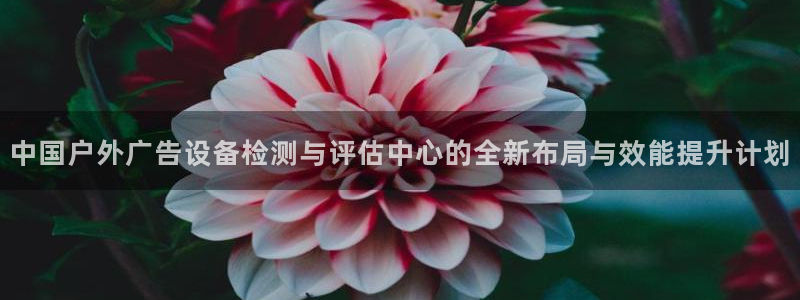 杏宇平台登录步骤图：中国户外广告设备检测