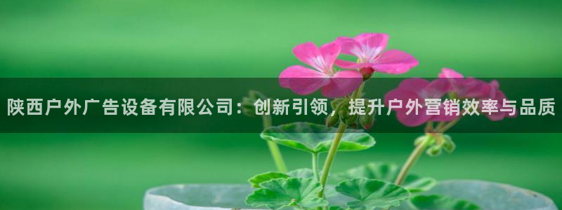杏宇平台登录方法：陕西户外广告设备有限公司：创新引领，提升户外营销效率与品质