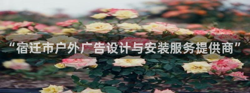 杏宇平台代理怎么样赚钱：“宿迁市户外广告设计与安装服务提供商”