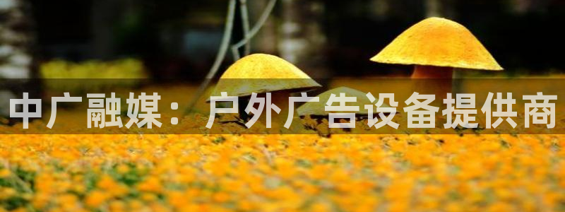 杏宇平台登陆：中广融媒：户外广告设备提供商
