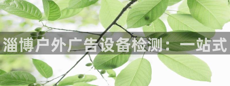 杏宇平台总代理：淄博户外广告设备检测：一站式