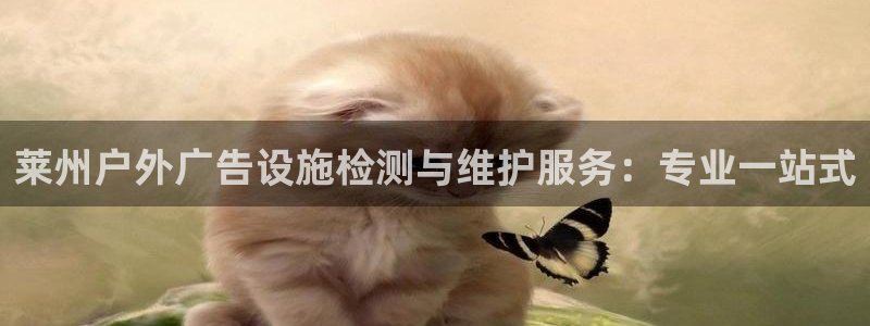 杏宇平台招商怎么样：莱州户外广告设施检测与维护服务：专业一站式