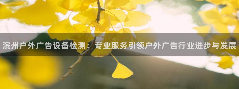 杏宇平台怎么样：滨州户外广告设备检测：专业服务引领户外广告行业进步与发展