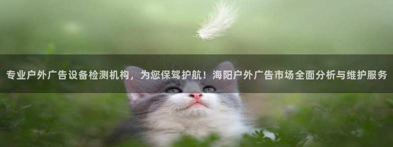 杏宇平台招商怎么样：专业户外广告设备检测