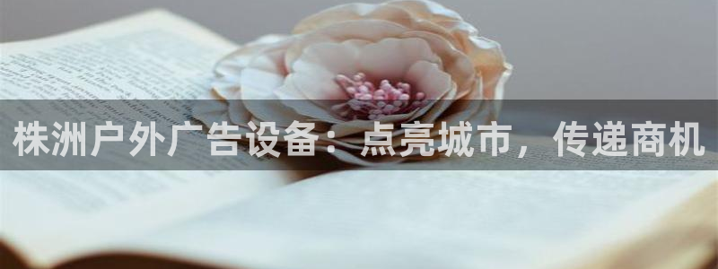 杏宇平台怎么样知乎