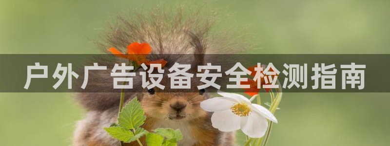 杏宇平台代理怎么样