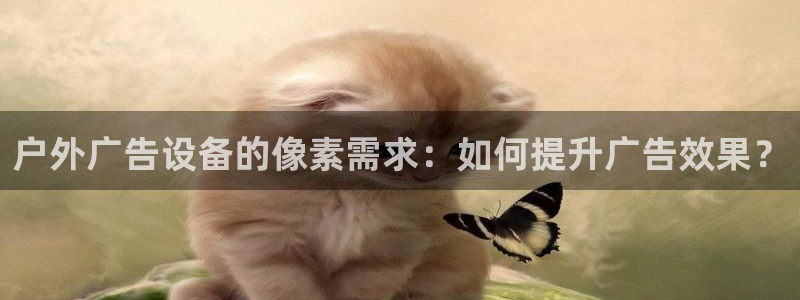 杏宇平台代理怎么样赚钱：户外广告设备的像