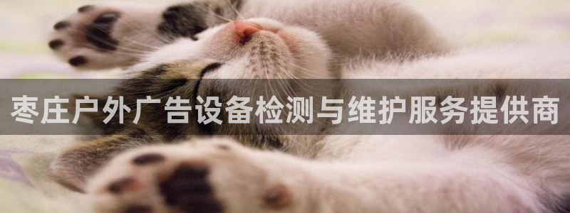 杏宇平台代理：枣庄户外广告设备检测与维护服务提供商