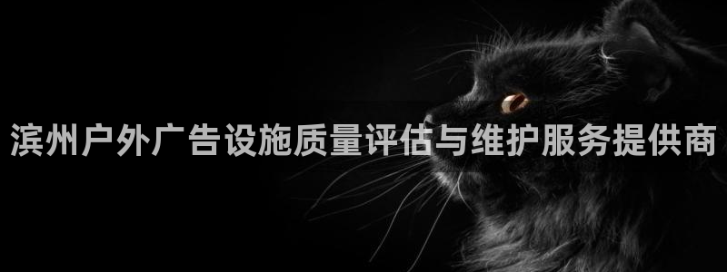 杏宇平台客服：滨州户外广告设施质量评估与