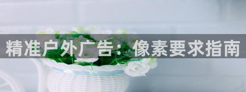 杏宇平台怎么样