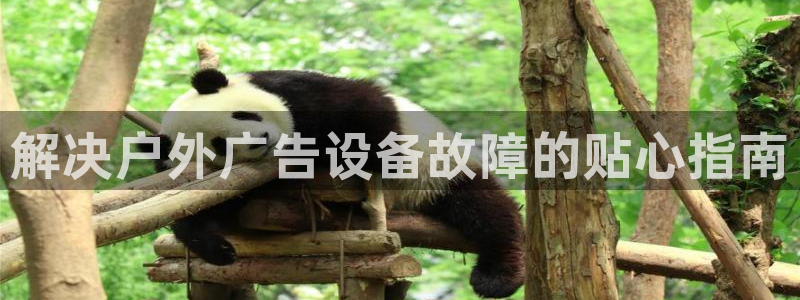 杏宇官方平台官网