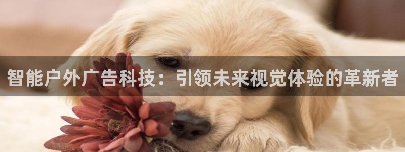 杏宇平台提现为什么这么久呢