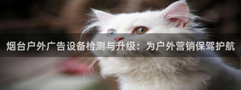 杏宇平台怎么样知乎：烟台户外广告设备检测与升级：为户外营销保驾护航