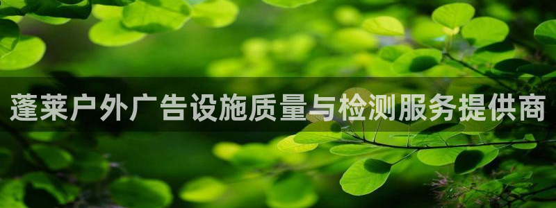 杏宇官方平台官网下载：蓬莱户外广告设施质量与检测服务提供商