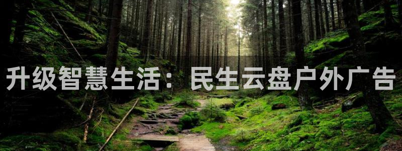 杏宇平台注册地址在哪里：升级智慧生活：民生云盘户外广告