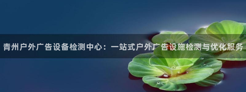 杏宇平台客服：青州户外广告设备检测中心：一站式户外广告设施检测与优化服务