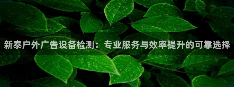 杏宇平台测速链接：新泰户外广告设备检测：专业服务与效率提升的可靠选择