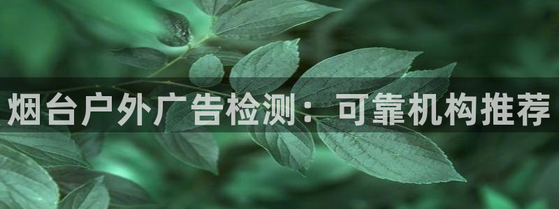 杏宇平台代理怎么样赚钱