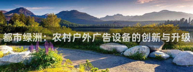 杏宇平台注册地址：都市绿洲：农村户外广告