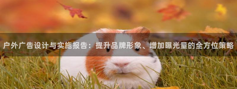 杏宇平台代理怎么样啊：户外广告设计与实施