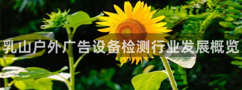 杏宇平台客服：乳山户外广告设备检测行业发