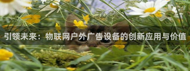 杏宇平台开户：引领未来：物联网户外广告设