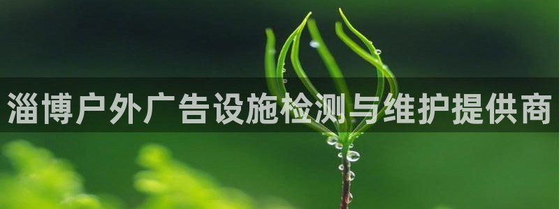 杏宇代理注册：淄博户外广告设施检测与维护