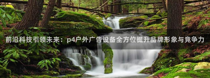 杏宇平台总代理：前沿科技引领未来：p4户