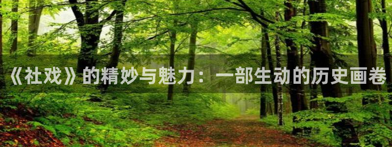 哪个网站可以看起点防盗章节：《社戏》的精妙与魅力：一部生动的历史画卷