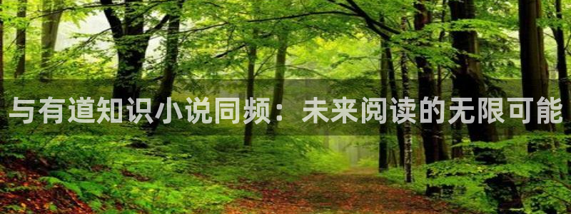 如何在起点发布自己的小说：与有道知识小说同频：未来阅读的无限可能