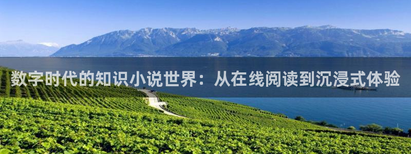 起点点击量最高的小说：数字时代的知识小说世界：从在线阅读到沉浸式体验