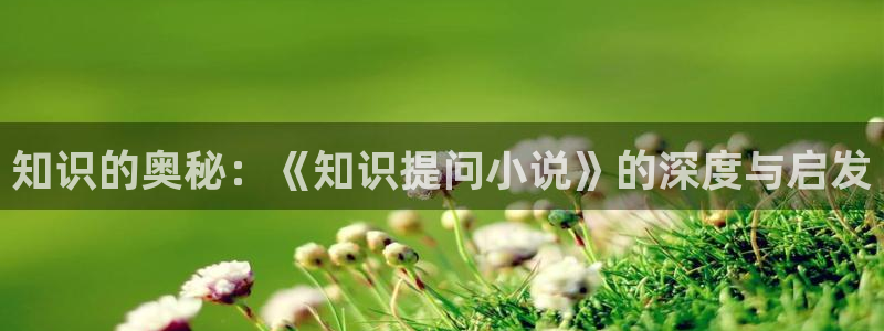 叶风叶紫灵新起点小说：知识的奥秘：《知识提问小说》的深度与启发