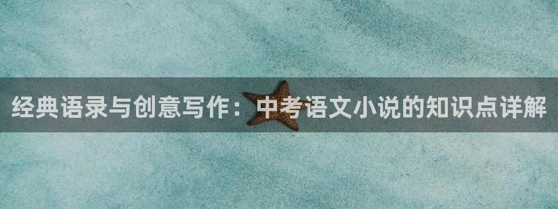 凌天传说起点中文网：经典语录与创意写作：中考语文小说的知识点详解